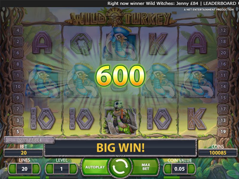 Wild Turkey: мега-крутой слот в режиме демо и на деньги Pokerdom